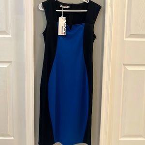 Aline Blue and Black dress